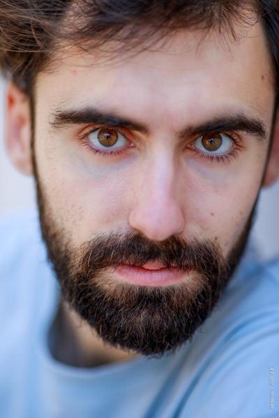 anthony dino web 2 sur 3 800 600